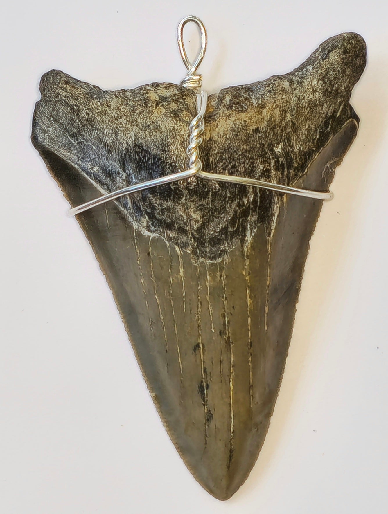 20" Hemp Necklace with Megalodon Fossil Pendant