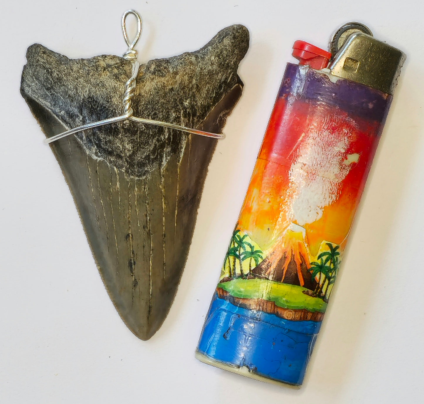 20" Hemp Necklace with Megalodon Fossil Pendant