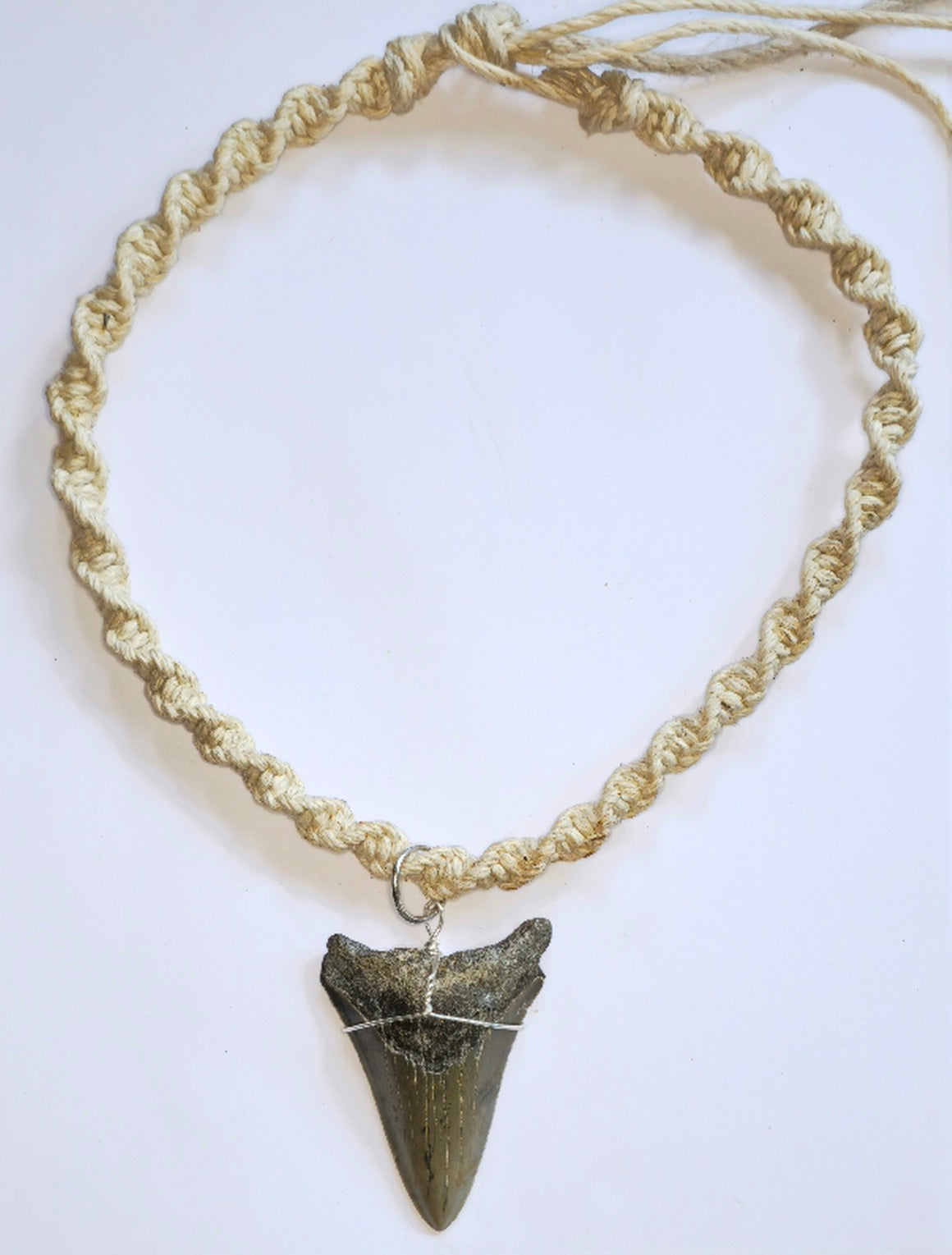 20" Hemp Necklace with Megalodon Fossil Pendant