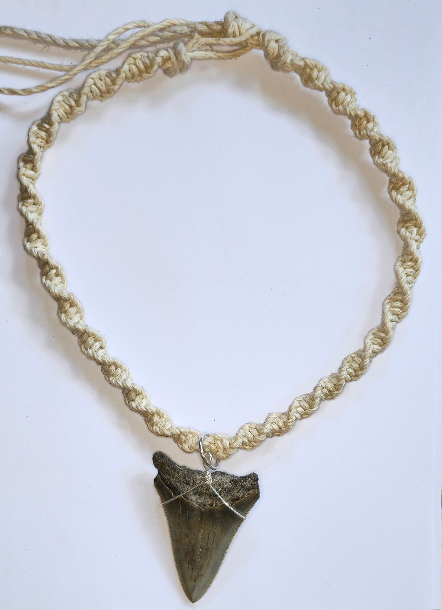20" Hemp Necklace with Megalodon Fossil Pendant
