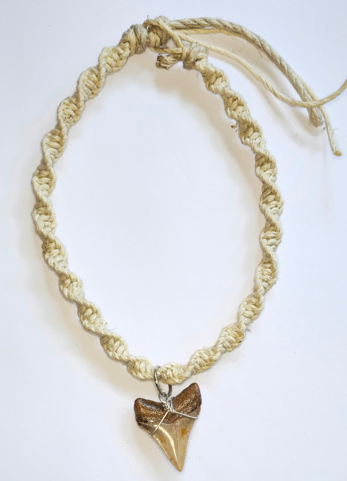 18" Hemp Necklace with Chubutensis Fossil Pendant