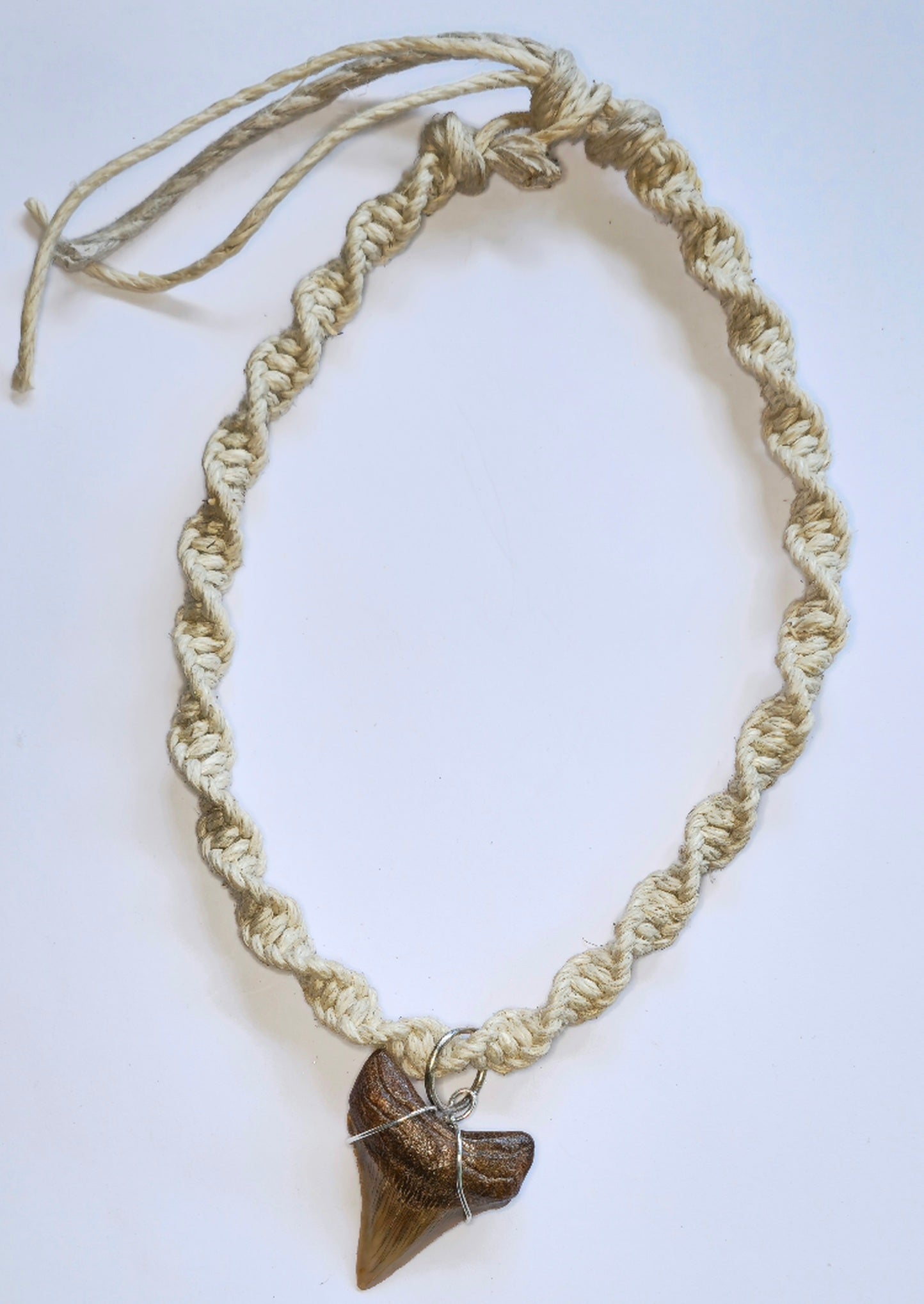 18" Hemp Necklace with Chubutensis Fossil Pendant