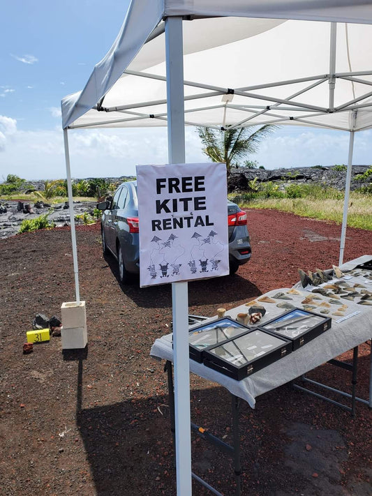 Kite Rental at Kaimu Farmer's Market in Kalapana Hawaii