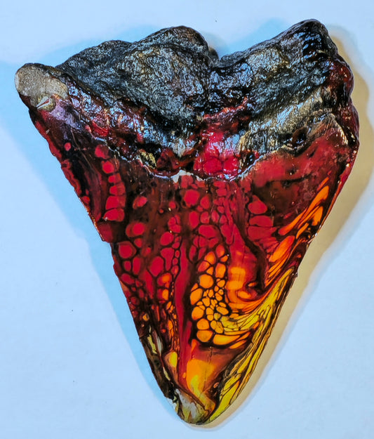 4.12" Acrylic Painted Megalodon tooth