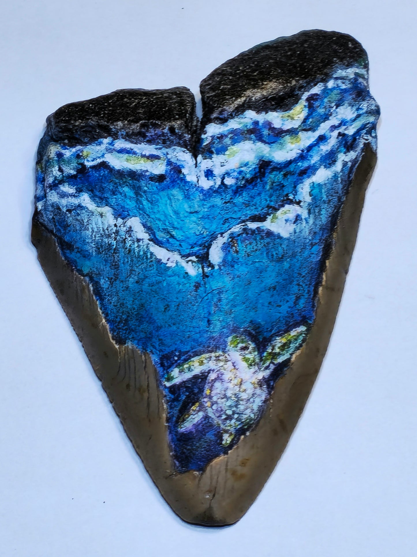 4.50" Oil Painted Megalodon tooth