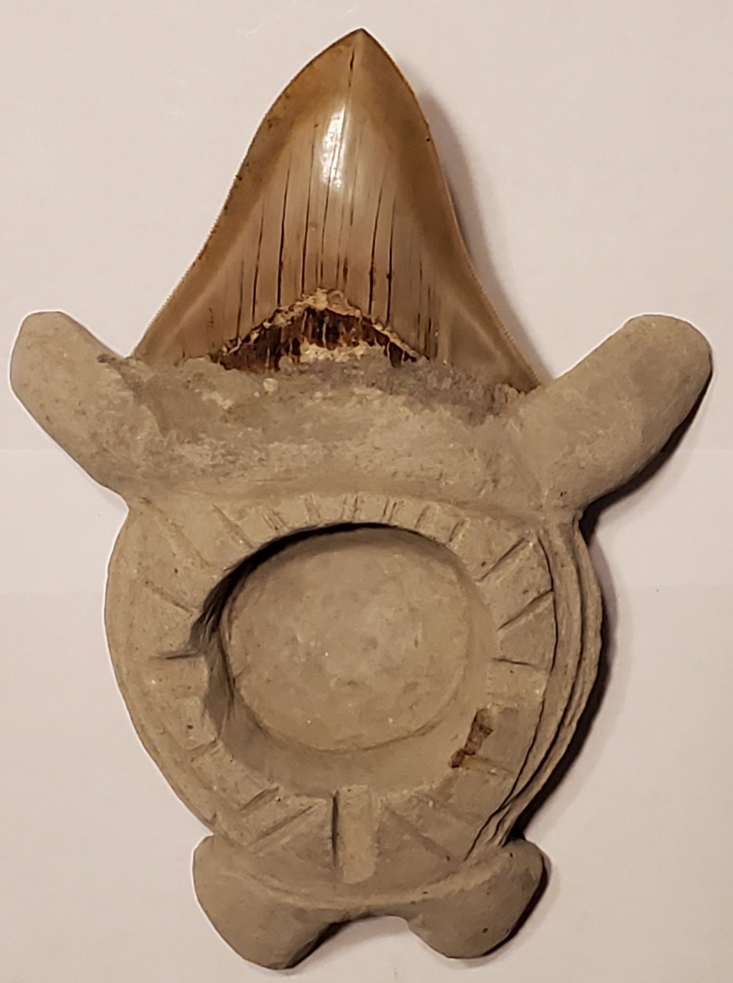 3.50” Megalodon Tooth Turtle Carving artwork