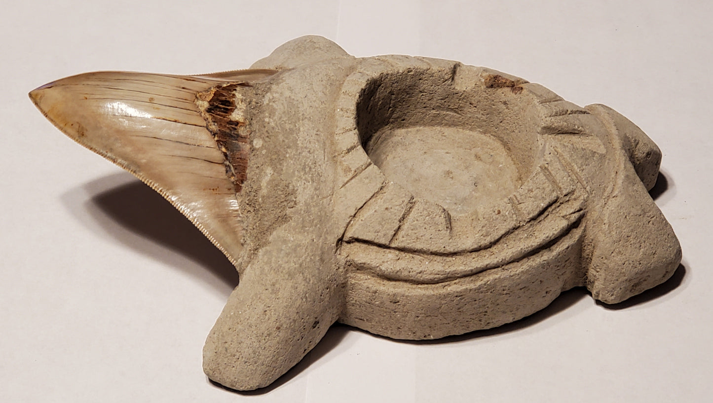 3.50” Megalodon Tooth Turtle Carving artwork