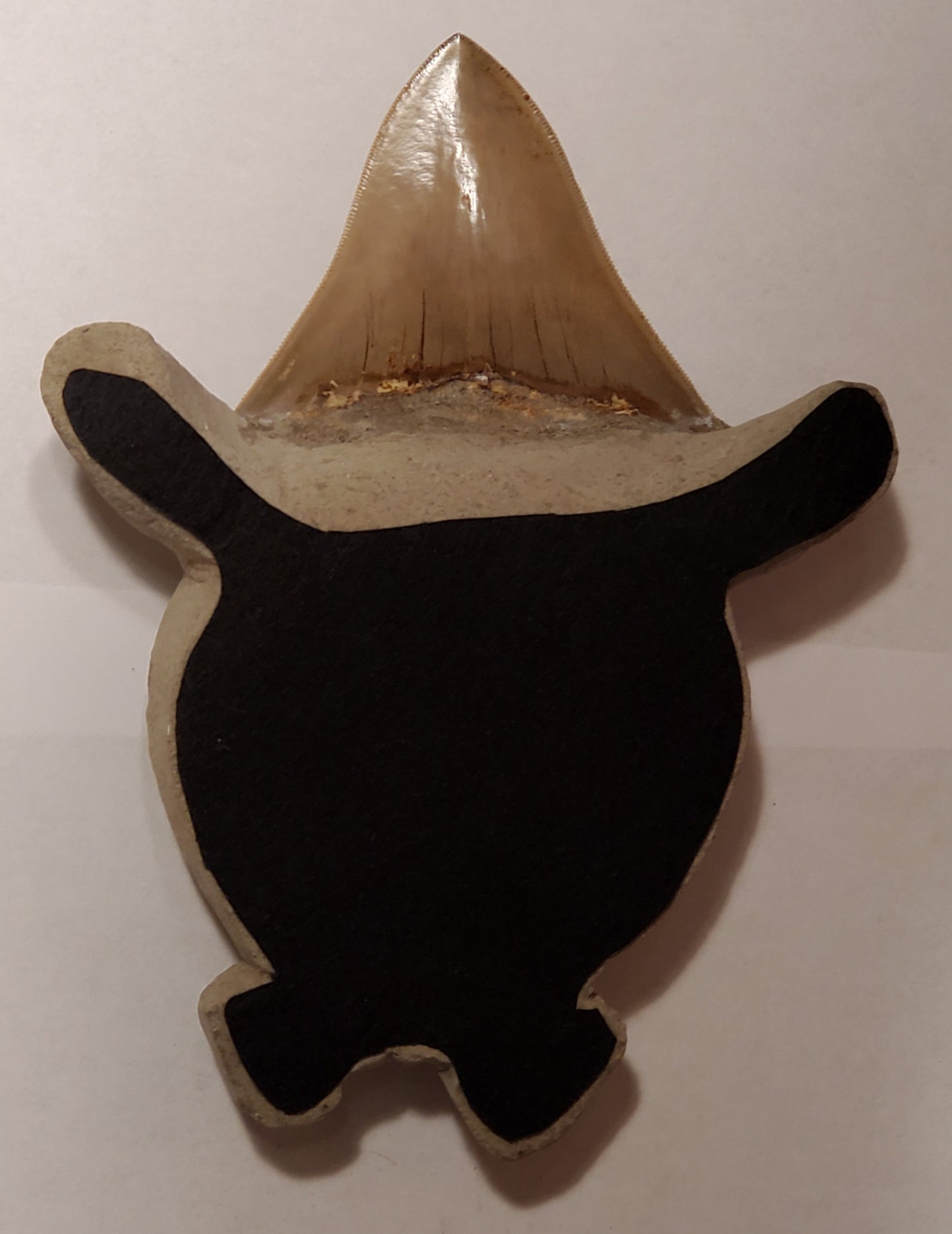 3.50” Megalodon Tooth Turtle Carving artwork