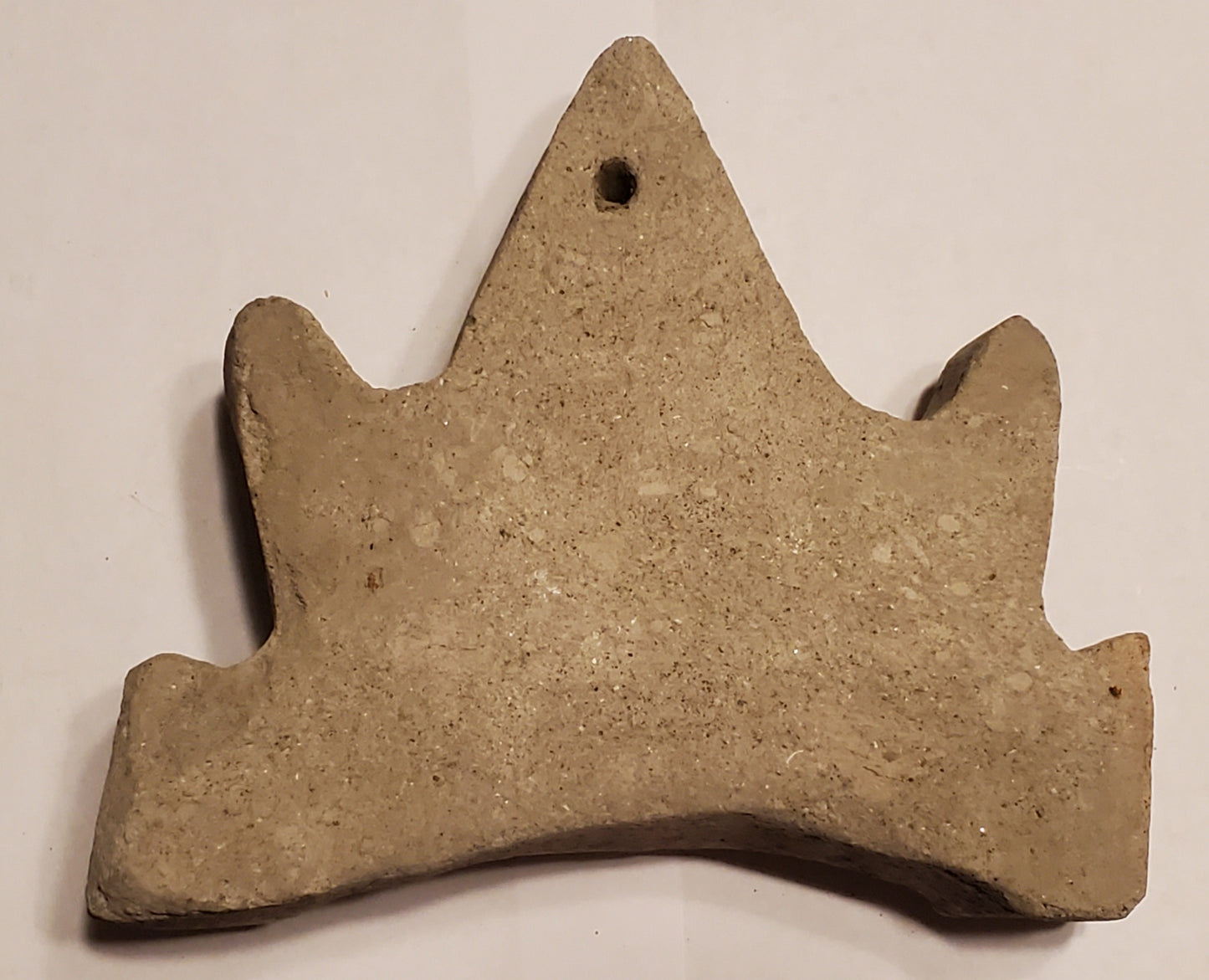 3.48” Megalodon Tooth Crown Carving