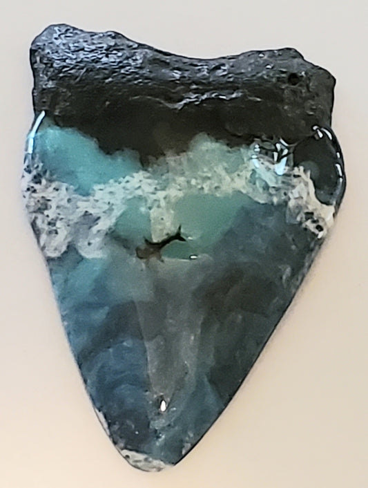 2.74" Painted Megalodon toothq